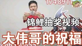 鸟哥爆料锦鲤视频,鸟哥独家爆料背后的故事  第3张